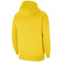 hoodie nike femme